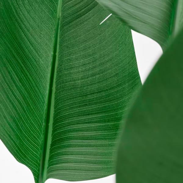 Plantă artificială Ikea Fejka Green / Înălțimea (cm) -  photo 4