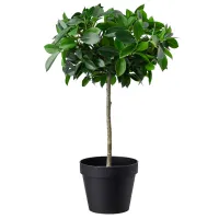 Plantă artificială Ikea Fejka Green / Înălțimea (cm) - 44