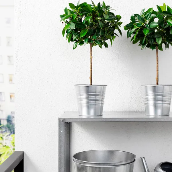 Искусственное растение Ikea Fejka Зеленый / Высота (см) - 44 photo 3 Искусственное растение Ikea Fejka Зеленый / Высота (см) - 44 photo 3