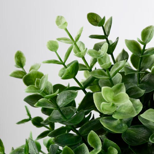 Искусственное растение Ikea Fejka Зеленый / Высота (см) - 22 photo 2 Искусственное растение Ikea Fejka Зеленый / Высота (см) - 22 photo 2