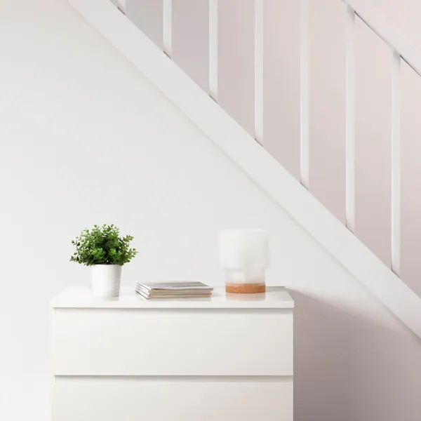 Искусственное растение Ikea Fejka Зеленый / Высота (см) - 22 photo 3 Искусственное растение Ikea Fejka Зеленый / Высота (см) - 22 photo 3