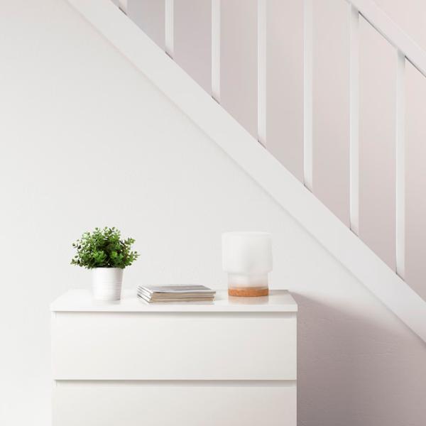 Искусственное растение Ikea Fejka Зеленый / Высота (см) - 22 photo 3 Искусственное растение Ikea Fejka Зеленый / Высота (см) - 22 photo 3