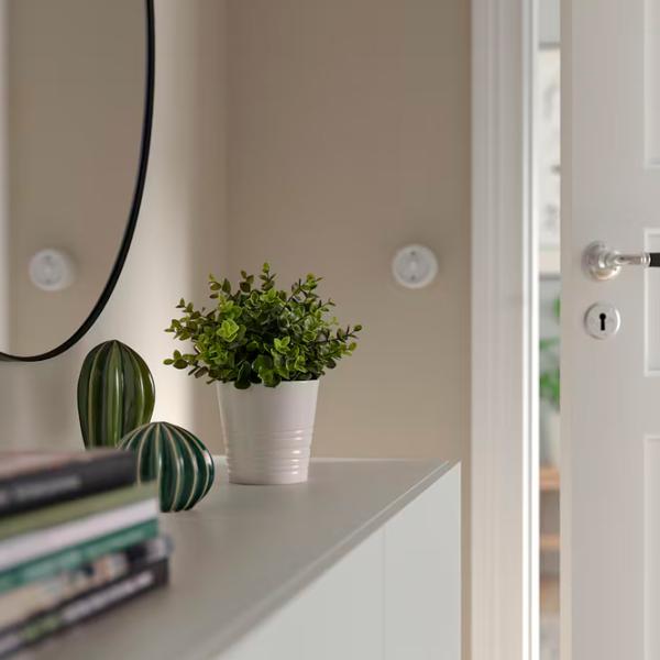 Искусственное растение Ikea Fejka Зеленый / Высота (см) - 22 photo 4 Искусственное растение Ikea Fejka Зеленый / Высота (см) - 22 photo 4