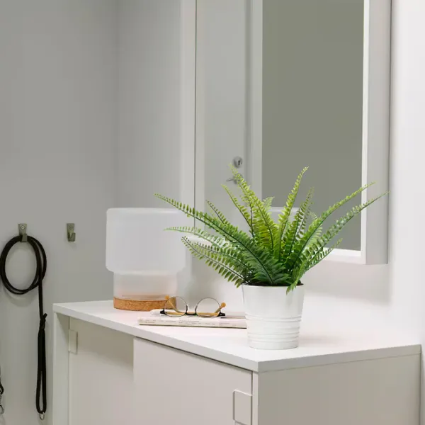 Искусственное растение Ikea Fejka Зеленый / Высота (см) - 34 photo 2 Искусственное растение Ikea Fejka Зеленый / Высота (см) - 34 photo 2