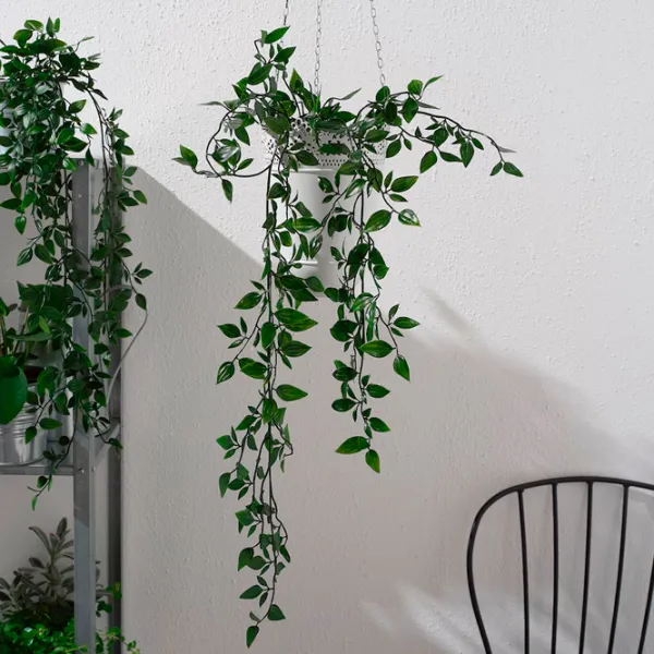 Искусственное растение Ikea Fejka Зеленый / Высота (см) - 70 photo 3 Искусственное растение Ikea Fejka Зеленый / Высота (см) - 70 photo 3