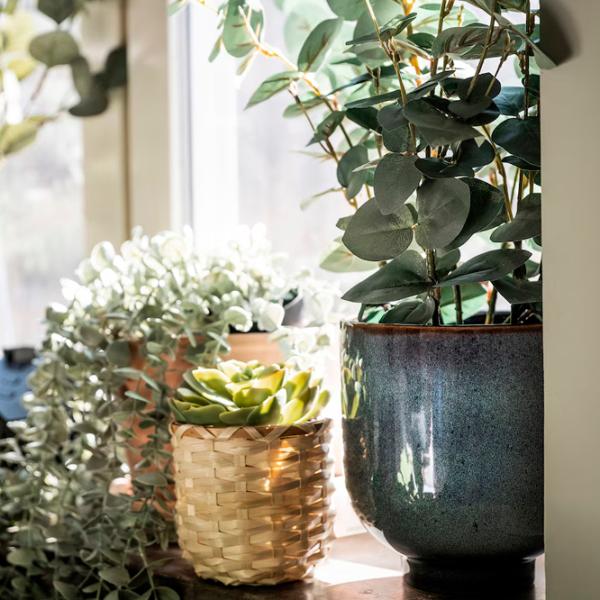 Искусственное растение Ikea Fejka Зеленый / Высота (см) -  photo 3