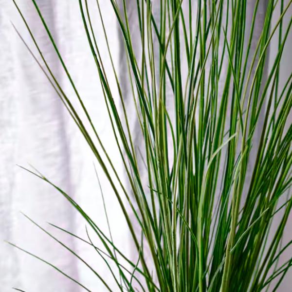 Plantă artificială Ikea Fejka Green / Înălțimea (cm) - 105 photo 3