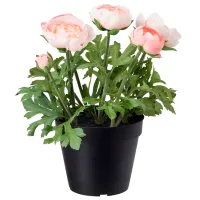 Plantă artificială Ikea Fejka Green / Înălțimea (cm) - 25