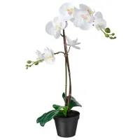 Plantă artificială Ikea Fejka White / Înălțimea (cm) - 58