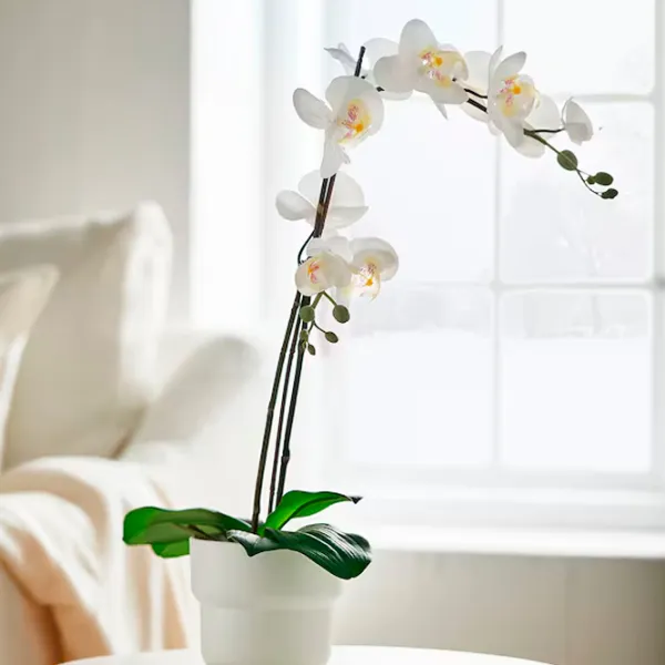 Plantă artificială Ikea Fejka White / Înălțimea (cm) - 58 photo 2