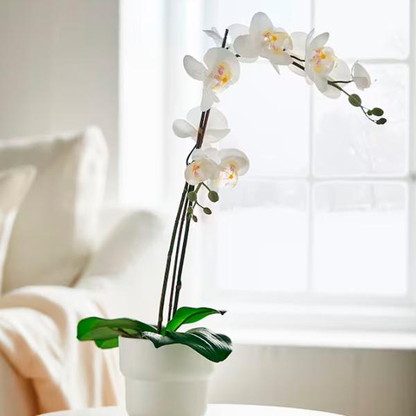 Plantă artificială Ikea Fejka White / Înălțimea (cm) - 58 photo 2