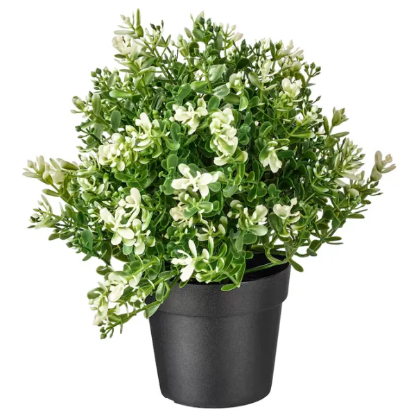 Plantă artificială Ikea Fejka Green / Înălțimea (cm) - 22 photo 1 Plantă artificială Ikea Fejka Green / Înălțimea (cm) - 22 photo 1