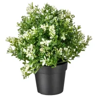 Plantă artificială Ikea Fejka Green / Înălțimea (cm) - 22