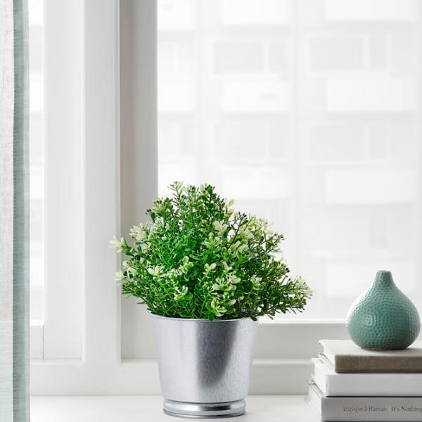 Plantă artificială Ikea Fejka Green / Înălțimea (cm) - 22 photo 3 Plantă artificială Ikea Fejka Green / Înălțimea (cm) - 22 photo 3