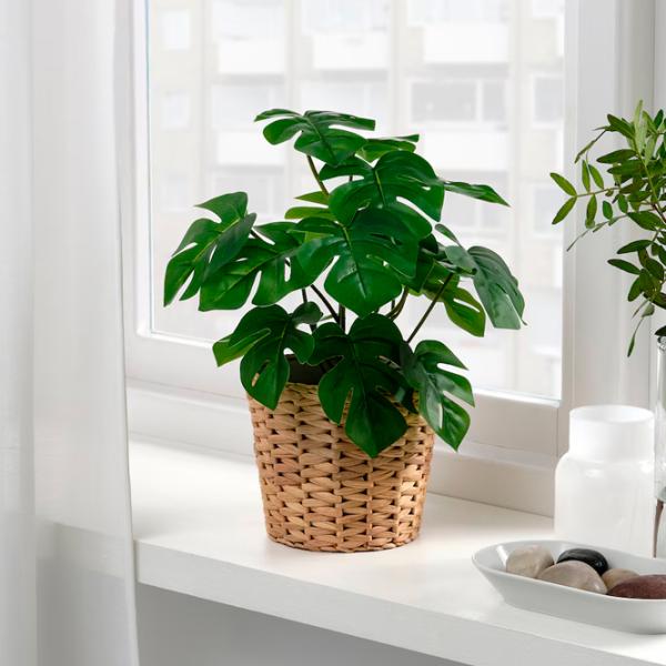 Plantă artificială Ikea Fejka Green / Înălțimea (cm) - 32 photo 2