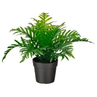 Plantă artificială Ikea Fejka Green / Înălțimea (cm) - 