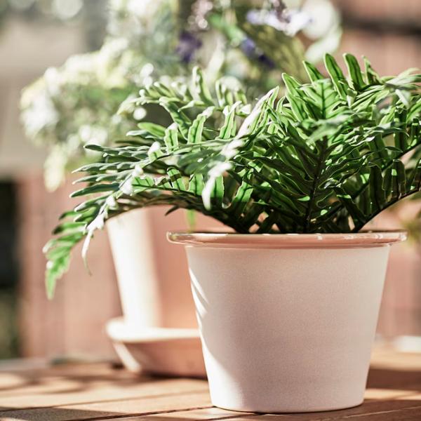 Искусственное растение Ikea Fejka Зеленый / Высота (см) -  photo 2 Искусственное растение Ikea Fejka Зеленый / Высота (см) -  photo 2