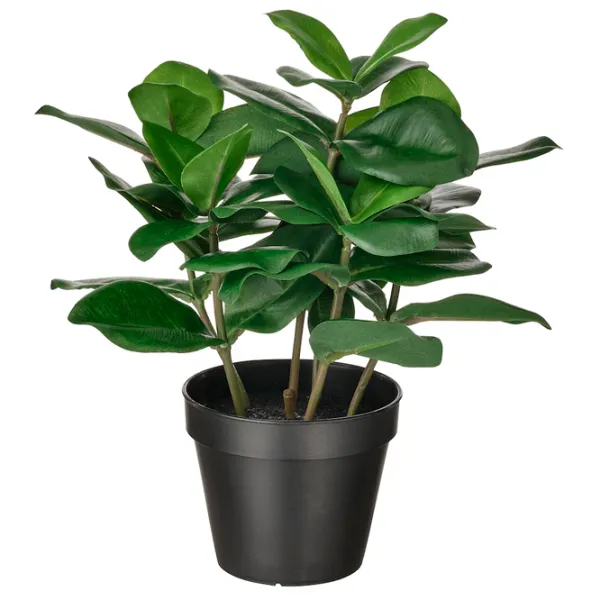 Plantă artificială Ikea Fejka Green / Înălțimea (cm) - 32 photo 1