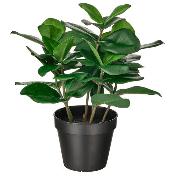 Plantă artificială Ikea Fejka Green / Înălțimea (cm) - 32 photo 1