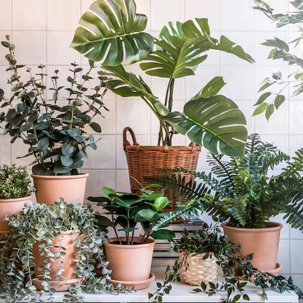 Plantă artificială Ikea Fejka Green / Înălțimea (cm) - 32 photo 2