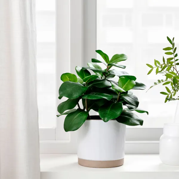 Plantă artificială Ikea Fejka Green / Înălțimea (cm) - 32 photo 3