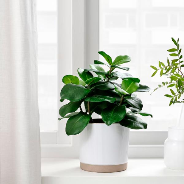 Plantă artificială Ikea Fejka Green / Înălțimea (cm) - 32 photo 3
