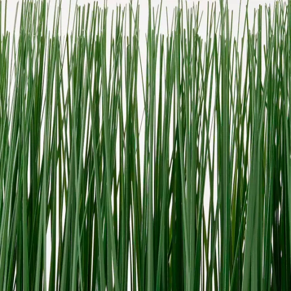 Plantă artificială Ikea Fejka Green / Înălțimea (cm) - 42 photo 2