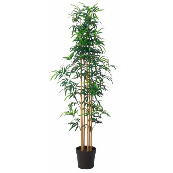 Plantă artificială Ikea Fejka Green / Înălțimea (cm) - 170 photo 1