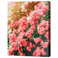 Картина по номерам Art Gallery Розовый куст в цвету EX8505 40 x 30 cm / Вертикальная