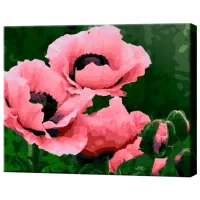 Картина по номерам Art Gallery Розовые цветы EX7566 40 x 30 cm / Горизонтальная