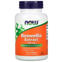 Supliment alimentar Now Foods Boswellia Extract 90