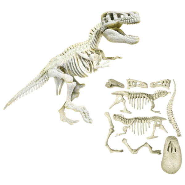 Настольная игра As Kids Discover Dinosaur T-Rex 6+/ Развитие photo 3