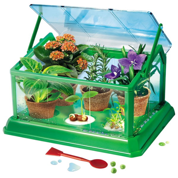 Настольная игра As Kids First Organic Evening 7+/ Развитие photo 3