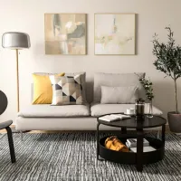 Canapea Ikea Soderhamn (5483808) Stofă / Beige photo 2