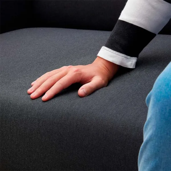 Canapea Ikea Linanas (5445246) Stofă / Dark Gray photo 7