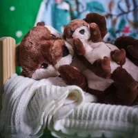 Мягкая игрушка Ikea Animals Skogsduva 3+ / Коричневый photo 2