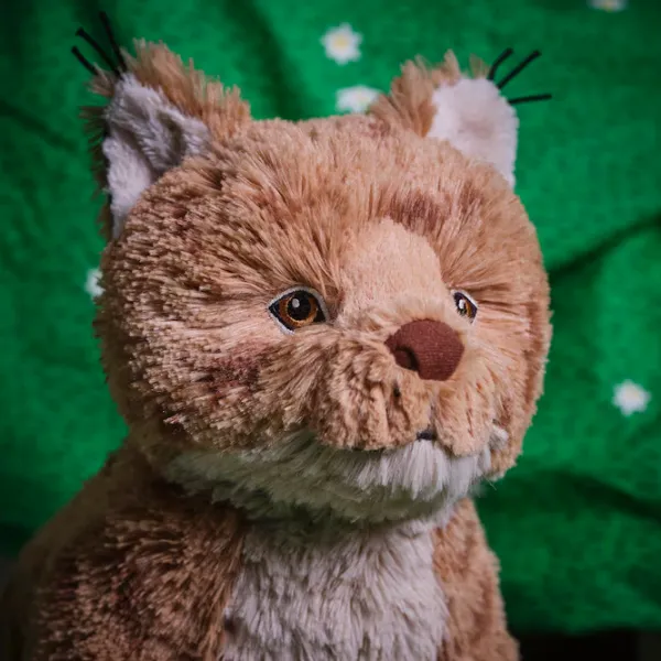 Мягкая игрушка Ikea Animals Skogsduva  3+ / Коричневый photo 3