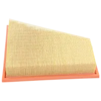 Filtru de aer Wix Filters WA9699 WX-WA9699 photo 2