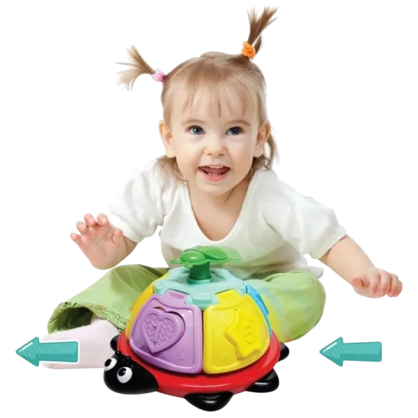 Развивающий набор Noriel Bebe - Gargle With Sorter 1+/ Развитие photo 3