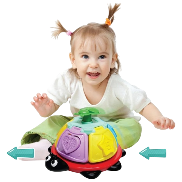 Развивающий набор Noriel Bebe - Gargle With Sorter 1+/ Развитие photo 3