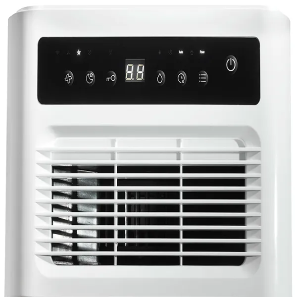 Uscător de aer Hisense D12CW Pe podea / White photo 4