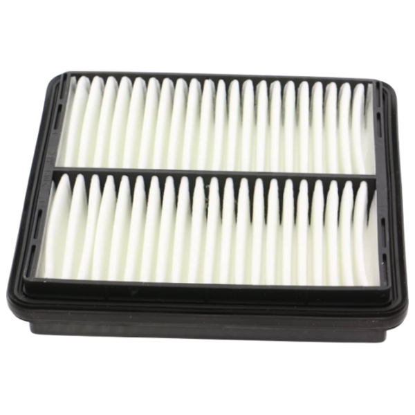 Воздушный фильтр Wix Filters WA6250 WX-WA6250 photo 2