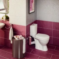 Vas WC Rosa Lira 45 Pe podea photo 3
