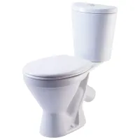 Vas WC Rosa Elegans 45 Pe podea