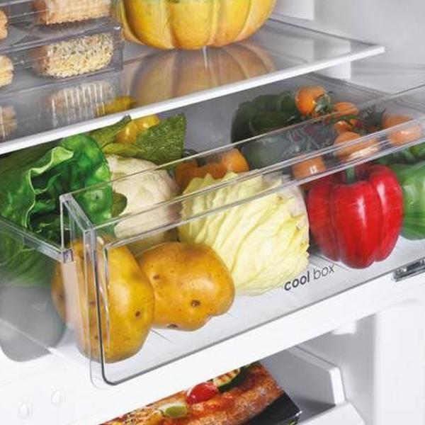 Frigider Candy CCH1T518DW cu congelator jos 253 l / 181 cm / White photo 8