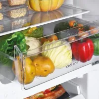 Frigider Candy CCH1T518DW cu congelator jos 253 l / 181 cm / White photo 8