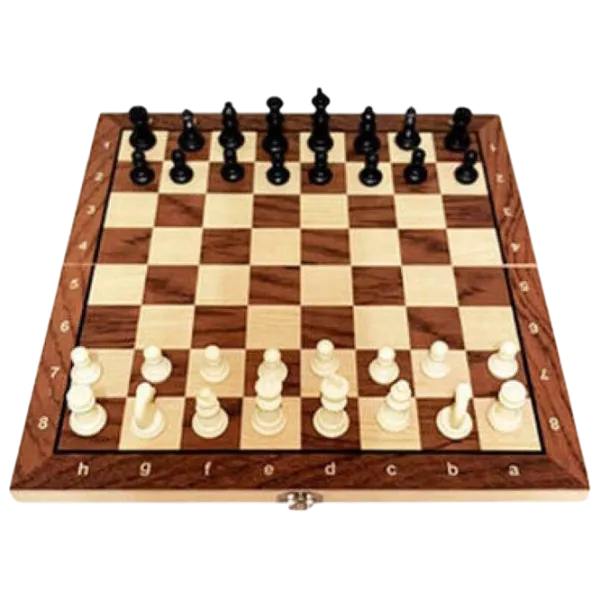 Настольная игра Richi Tichi Chess 4+/ Шахматы photo 1
