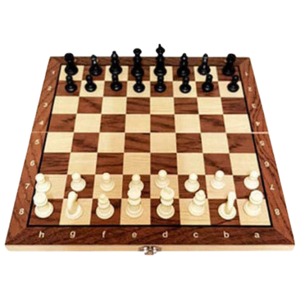 Настольная игра Richi Tichi Chess 4+/ Шахматы photo 1
