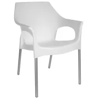 Садовый стул Sanja Stella  Сталь / Пластик / Белый Нержавеющая сталь