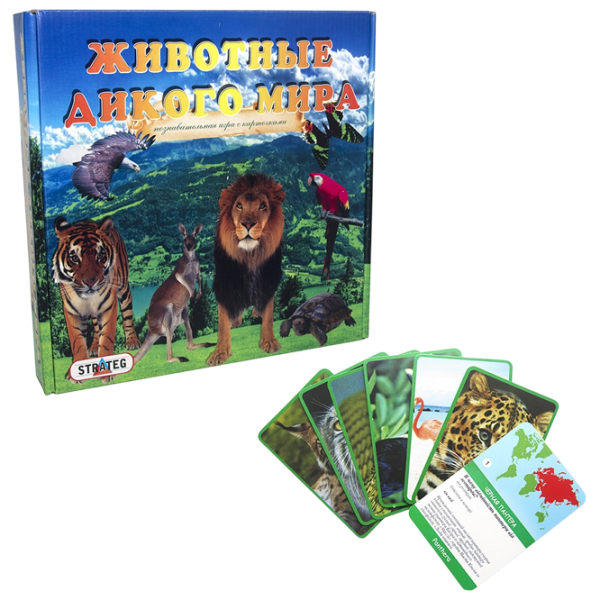 Развивающий набор Strateg Animals of the wild 3+/ Развитие photo 1